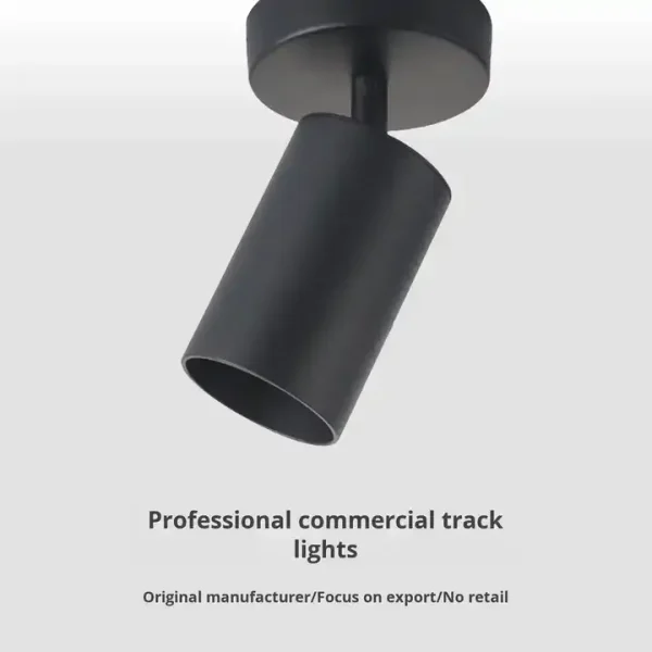 Adjustable Track Lighting: GU10 Aluminum Spotlight