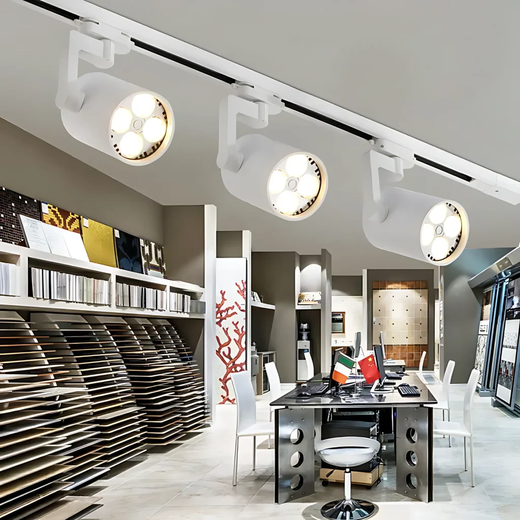 track lighting and rail lighti4